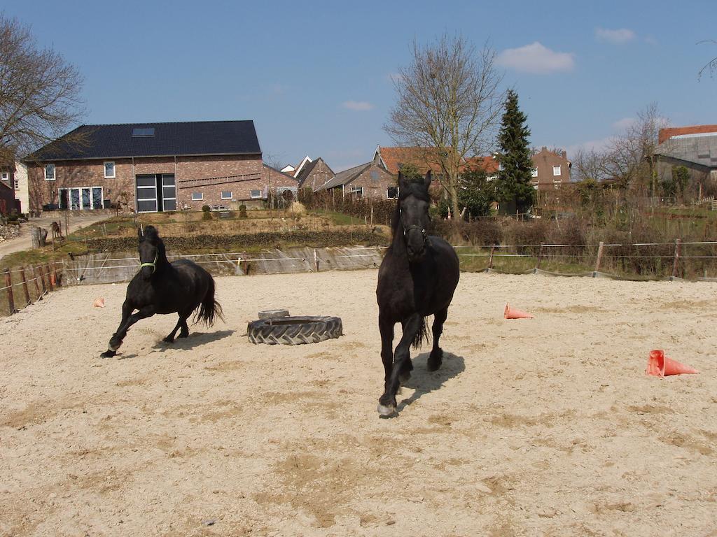 De Moolt Vakantiewoningen Eckelrade Rum bild